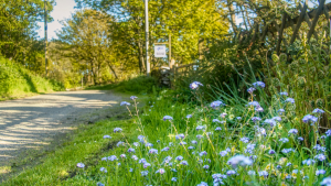 The Swallow Theatre Summer 2023 Web Banner Image